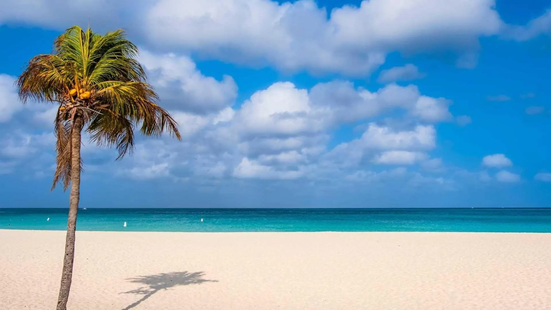 Beachfront - View Garden 2Br Condo - A145 Παλμ Μπιτς 0*,  Αρούμπα